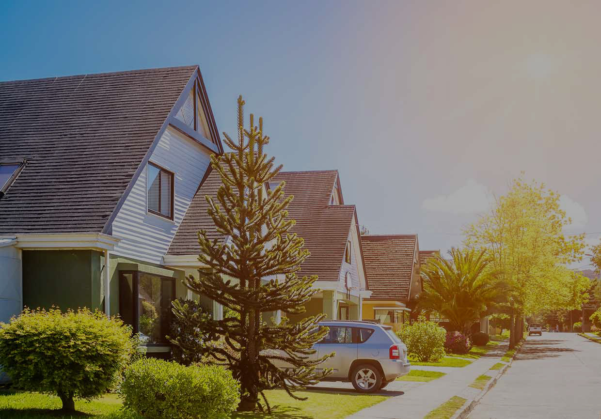A Suburban Neighborhood Street with Lens Flare