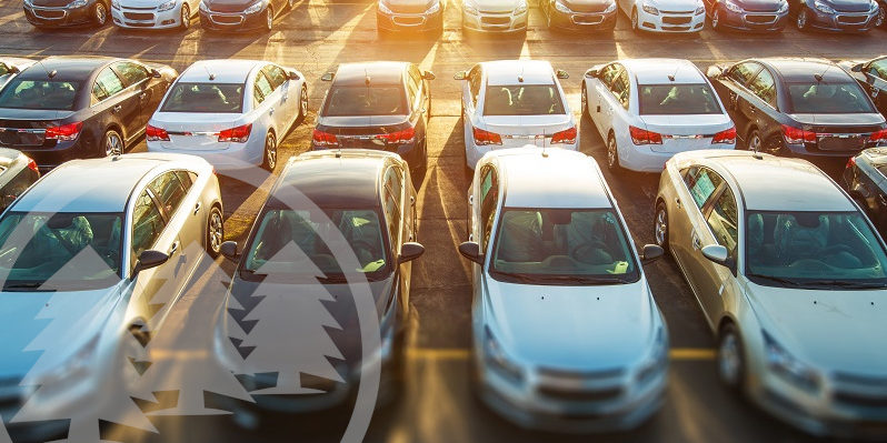 Court Rules a Common Parking Enforcement Technique Is Unreasonable