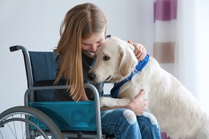 Girl in wheelchair with service dog indoors | can hoa enforce pet limit