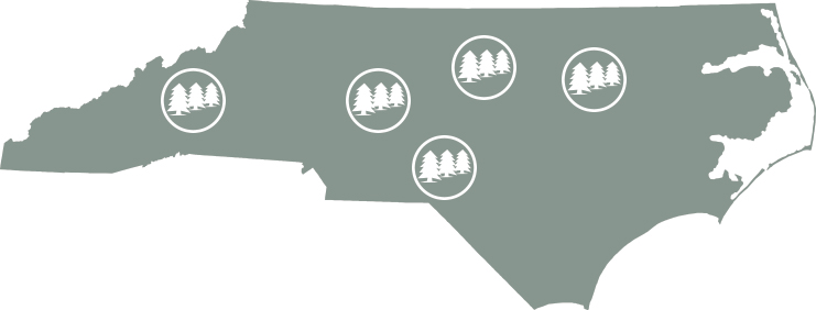 nc-sa