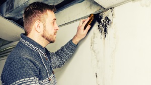 man removes black mold on the wall | is hoa responsible for mold
