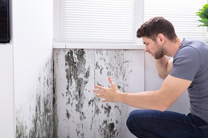 Side View Of A Man Looking At Mold On Wall | does insurance cover mold