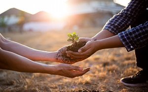 person passing a seedling to another person | summer HOA community events