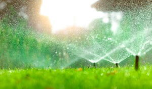 garden irrigation system watering lawn | spring landscape tips