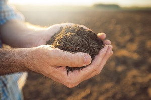 Handful of soil in hands of a man | preparing HOA landscape for spring