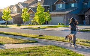woman walking dog in neighborhood street | landscape tips for spring